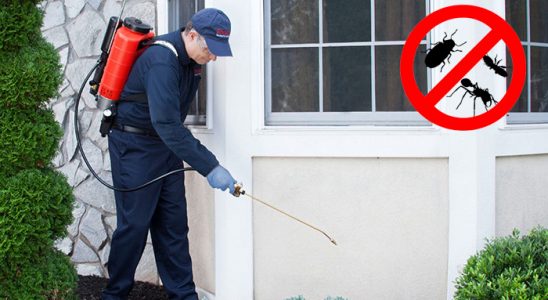 Ayvacık Akrep İlaçlama böcek ilaçlama ve haşere kontrolü — ilaclama-tr.com